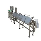 Metal Detector for Food Processing Industry Multi Head Weigher