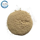 Denitrifying bacteria for wastewater treatment