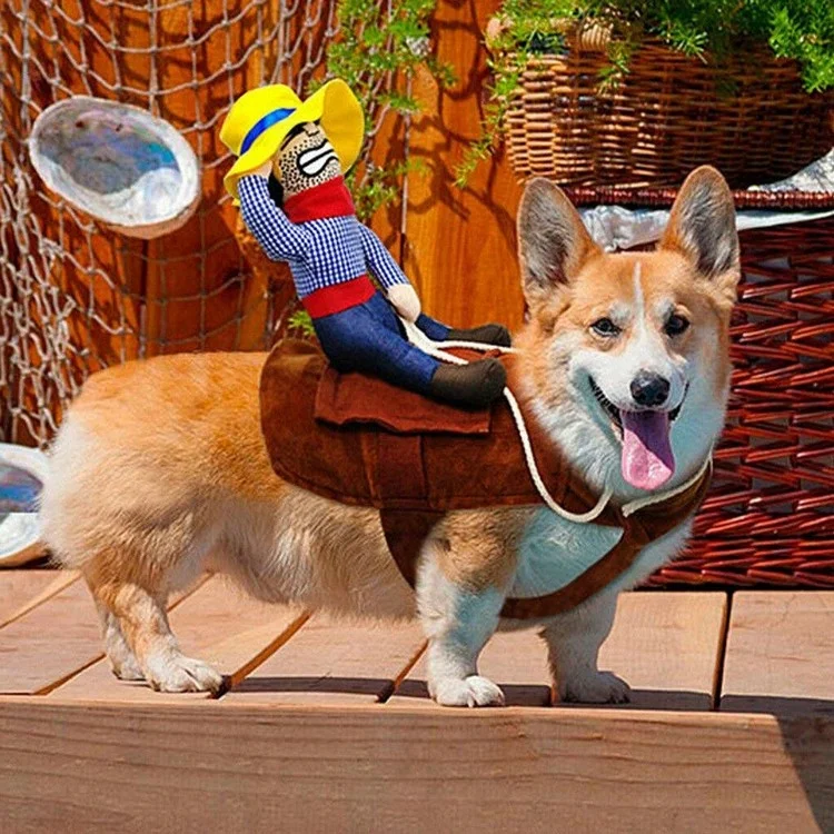 Amazon Top Seller 2019 Custom New Design Funny Dog Cat Pet Halloween Party Costumes Clothes with Riding Horse Cowboy, Customized
Amazon Top Seller 2019 Custom New Design Funny Dog Cat Pet Halloween Party Costumes Clothes with Riding Horse Cowboy, Customized