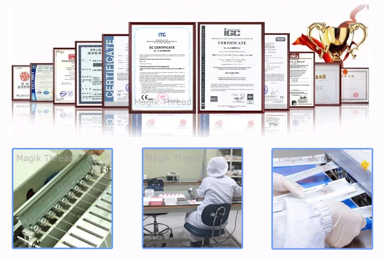 Company Information.jpg