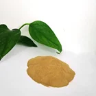 Concrete Admixture Naphthalene Sulfonate Formaldehyde Sodium Naphthalene Superplasticizer