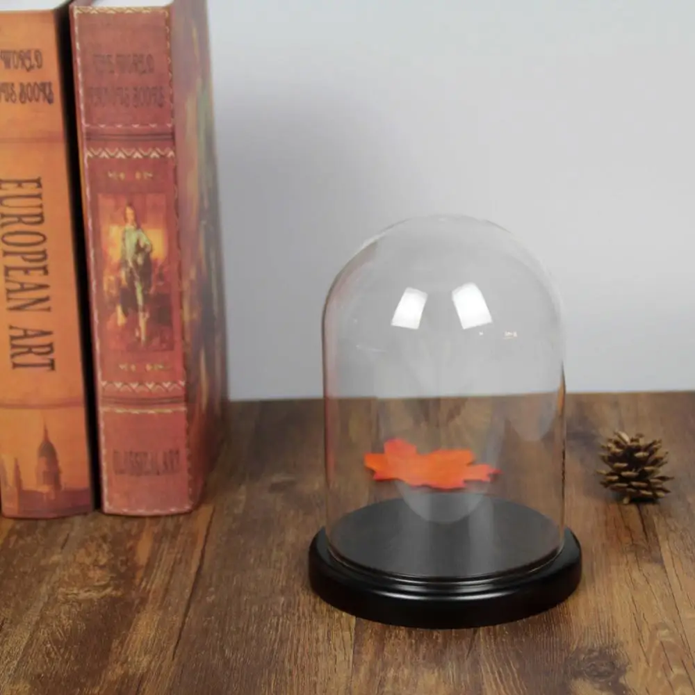 Small Glass Display Dome With Wood Base D10 x H25cm