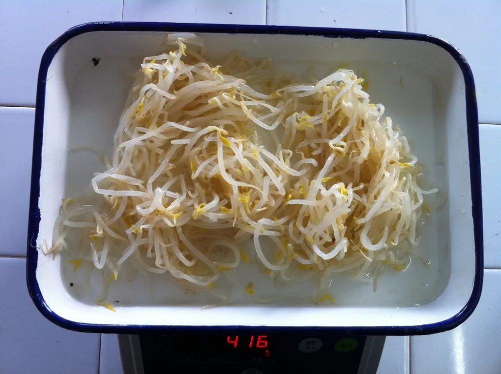 canned soybean sprout 6.jpg
