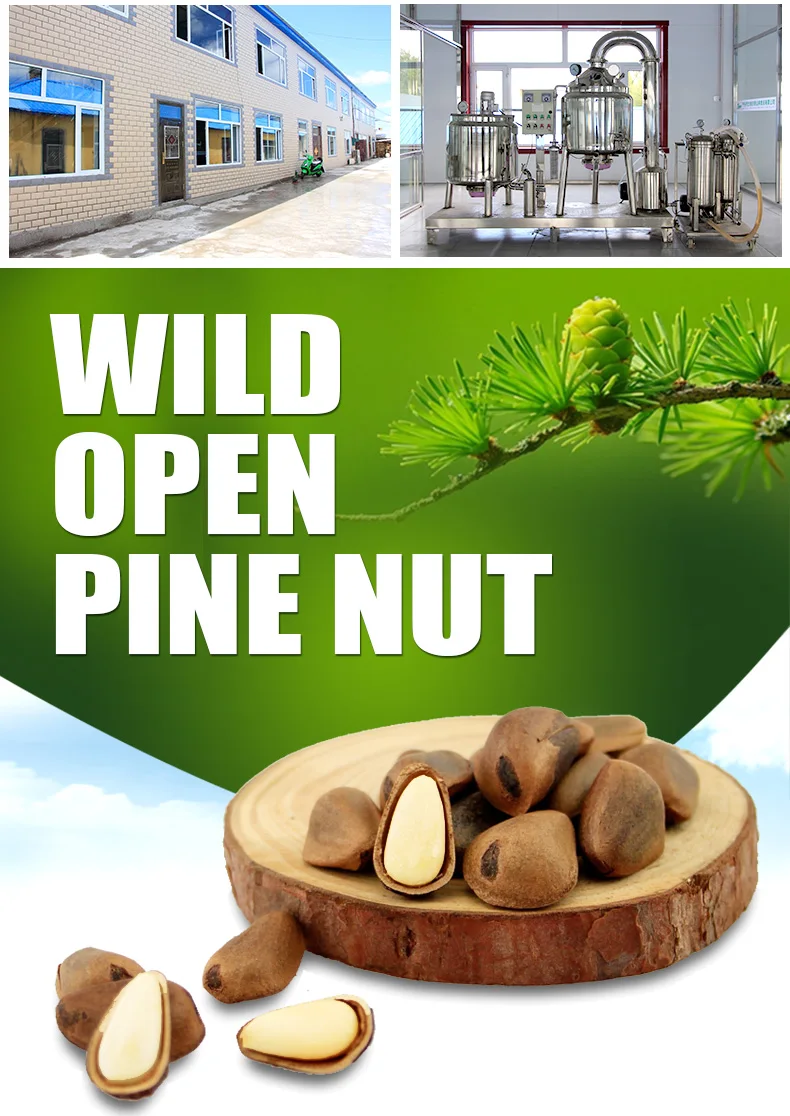 roasted pine nut, open pine nut/pine seed