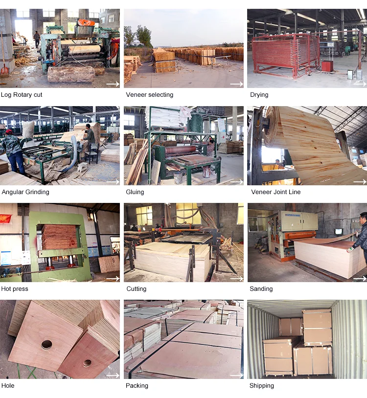 packing grade poplar LVL pallet timber plank for packing and making pallets hot sale in east asia market