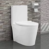/product-detail/china-siphon-bathroom-one-piece-ceramic-floor-mounted-wc-toilet-60571473695.html