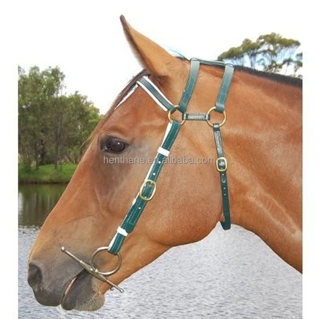 Equestrian pvc horse bridle for arabian horse