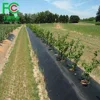 Cheap plastic mulch anti weed glass pe mat for agriculture garden cover