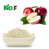 Manufacturer Supply Apple Juice Powder For Fruity drinks