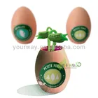Mini Plant,Magic egg,Magic message egg