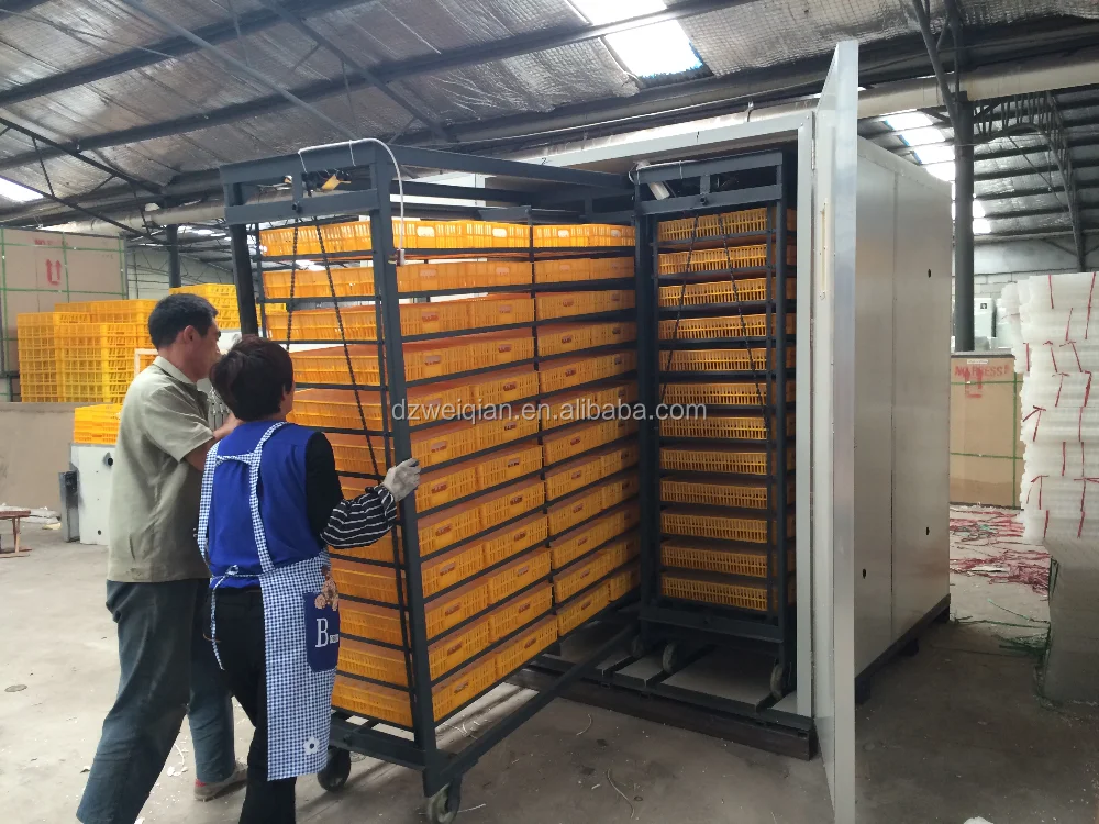  Chicken Incubators For Sale,Commercial Egg Incubator For Sale Product