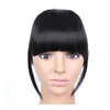 AliLeader Best Quality Wholesale Silky Straight Neat Bangs Synthetic Clip In Fringe Hair Extension Front Fake Fringe Hair Piece