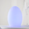 Amazon Hot CE ROHS Home Bar Indoor Use 14*19CM PE Material 16 Colors Changing Egg Shape LED Night Light