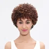 Rebecca jerry curl unprocessed original raw brazilian virgin remy short human hair wig and afro kinky human hair wig