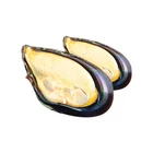 Body Exporter Cheap Good Price Shellfish Frozen Half Shell Mussel Meat