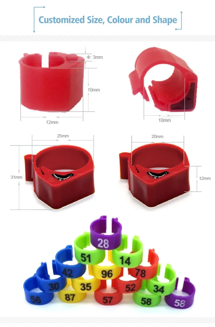 BENZiNG Pigeon Ring