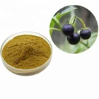Natural Herb Belladonna Extract Powder Belladonna Alkaloid