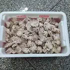 Wholesale Frozen Octopus Octopus Frozen Quality Frozen Baby Octopus