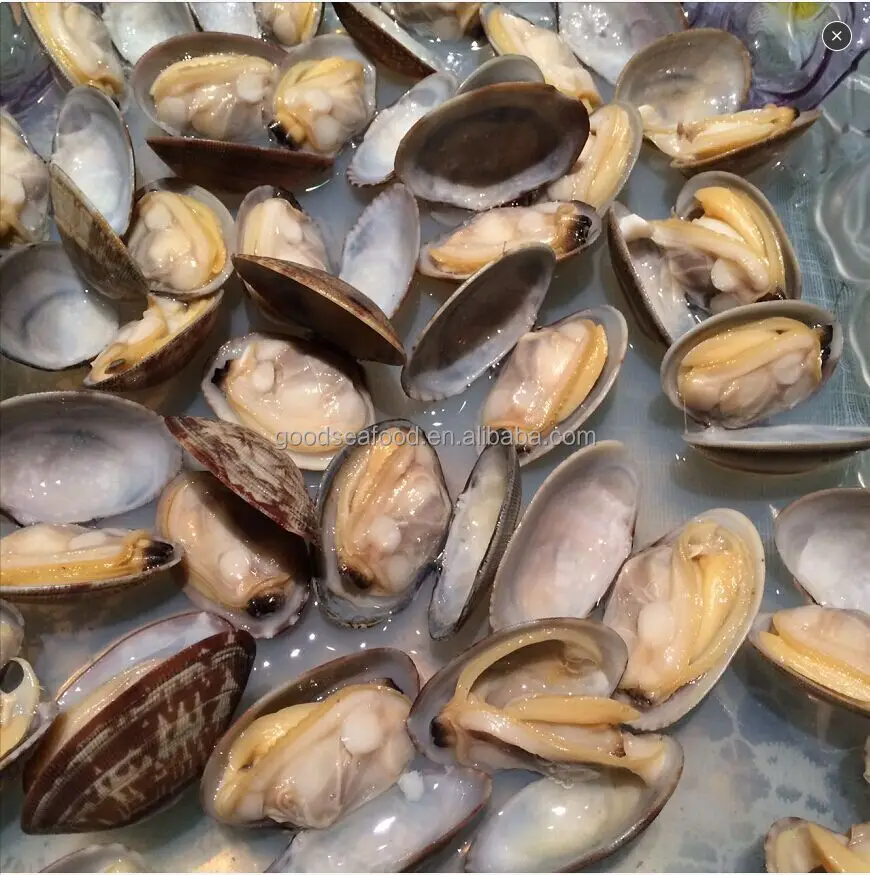 wholesale cooked clam