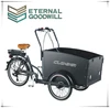 /product-detail/2015-hot-sale-3-wheels-electric-cargo-tricycle-bike-electric-tricycle-model-ub9031e-6s-60322103592.html