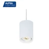 Hot Popular IP20 Best Quality High Quality High CRI Mounting Pendent Lights