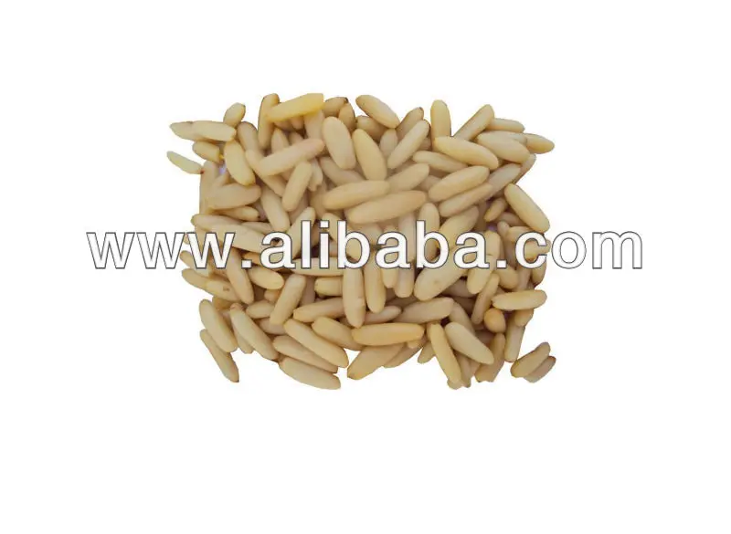 united arab emirates pine nut