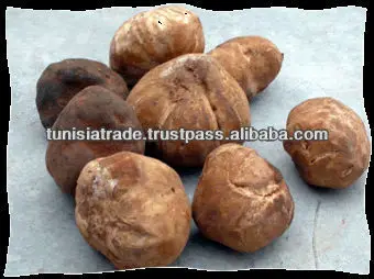Truffles White/Black from Tunisia desert