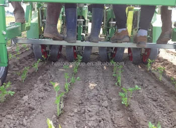 2zbz 4a 4 Rows Automatic Vegetable Seedling Transplanter Chilli