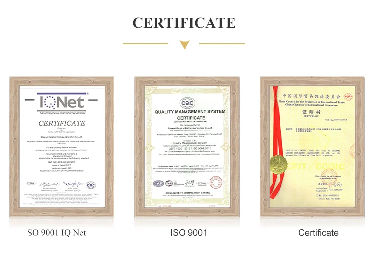 Factory Supply Organic 30% Polysaccharides Chaga Mushroom ...