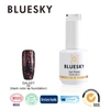 BLUESKY High Quality New Galaxy Gel Polish for Nails Beauty Honey Girl UV Gel Manufactures