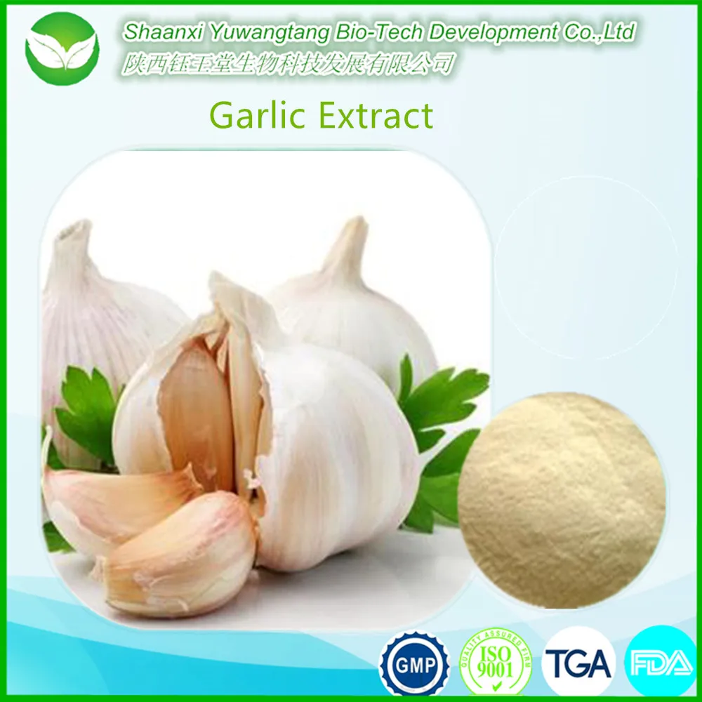 garlic extract powder 2.0% allicin