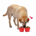 New Wholesale Design Double Tray Pet Bowl Silicone Collapsible Dog Bowl