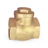2 1/2" Inch Good Quality Profession Brass Check Valve Price List