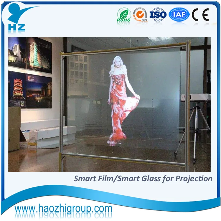 L66 rear projection film