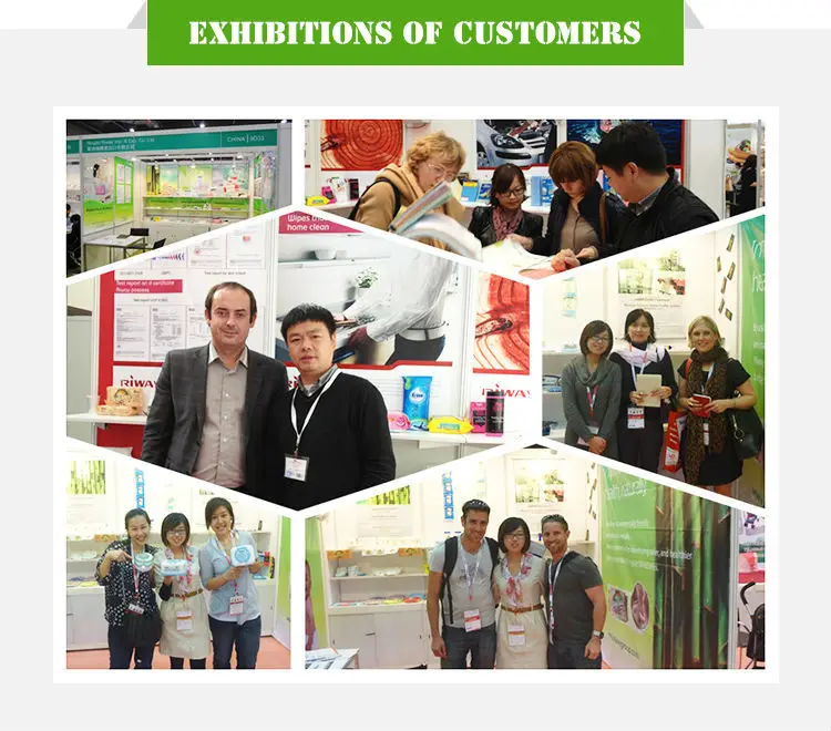 exhibitions