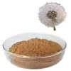 Low price pure natural Dandelion root extract