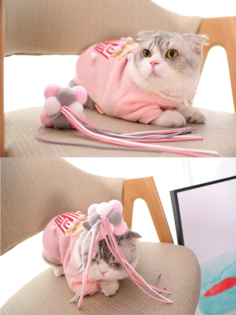 cat teaser toy.jpg