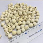 Chinese Premium Grade Exfoliating White Lotus Seed