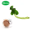 Butterbur extract Petasites hybridus extract 15%Petasins