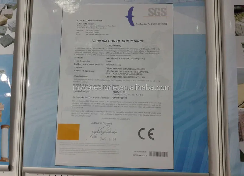 CE001-g603sss.jpg