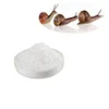 /product-detail/100-pure-natural-skin-care-10-1-powder-snail-slime-extract-with-free-sample-62155670744.html