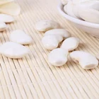 China supply Long shape White Kidney Beans Big White Kidney Beans with best price