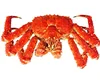 Malaysia Live red snow crab shell