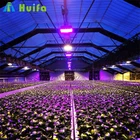 Commercial used Zhengzhou Greenhouse Automation