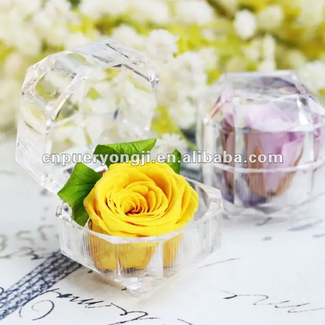 natural real preserved flower rose for gift in crystal glass