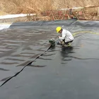 HDPE Geomembrane, fish pond liner, plastic fish ponds liner