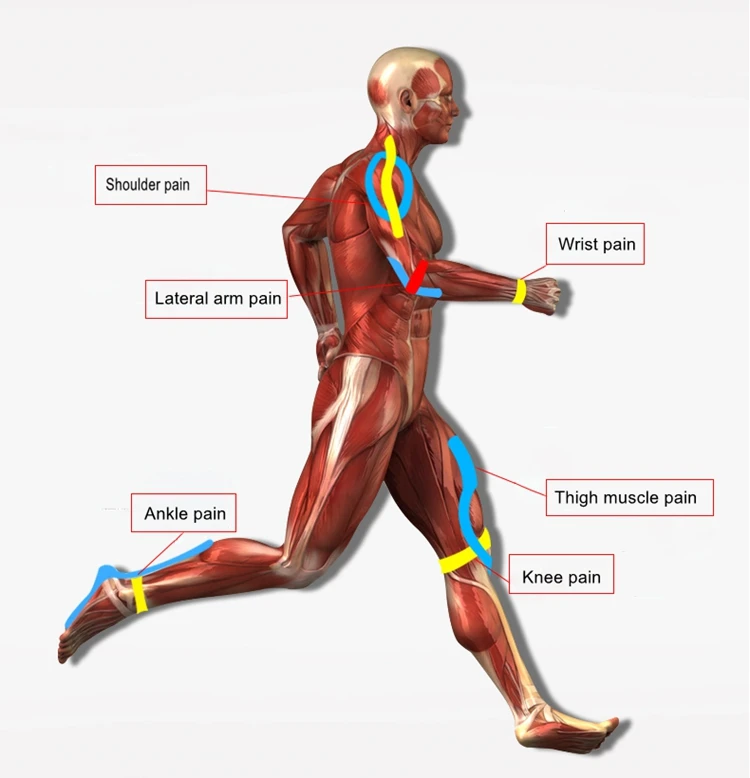 2021 trending new Sports Equipment Kinesiology tape in Gym, Fitness, Health Recovery plus for safety and improve, 11 colors, free choices
2021 trending new Sports Equipment Kinesiology tape in Gym, Fitness, Health Recovery plus for safety and improve, 11 colors, free choices