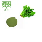 spinach powder for beverage