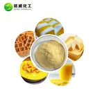 Pure Powder Powder Bulk 100% Pure Natural Spray Dried Mango Juice Powder Price