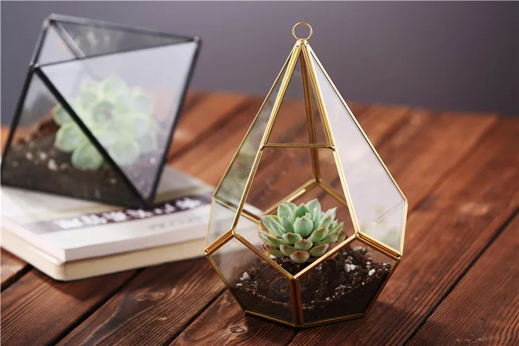 glass terrarium (1).jpg